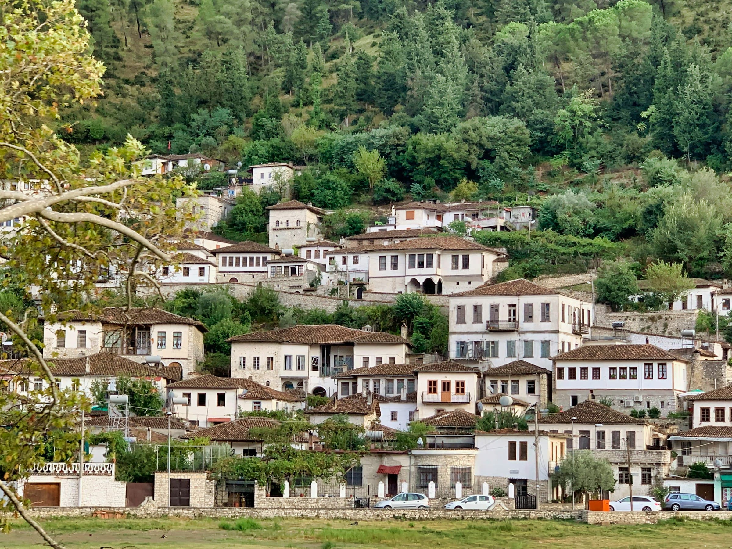 The white stone houses of Berat on the hillside above the river